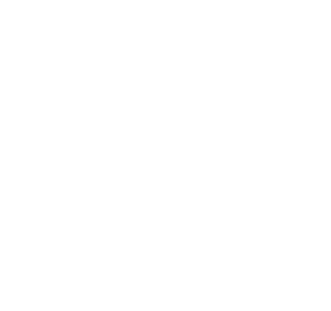 Berlin Blatt und Blüte Logo