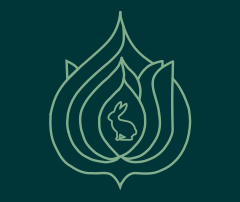 CSC Elsenfeld Logo