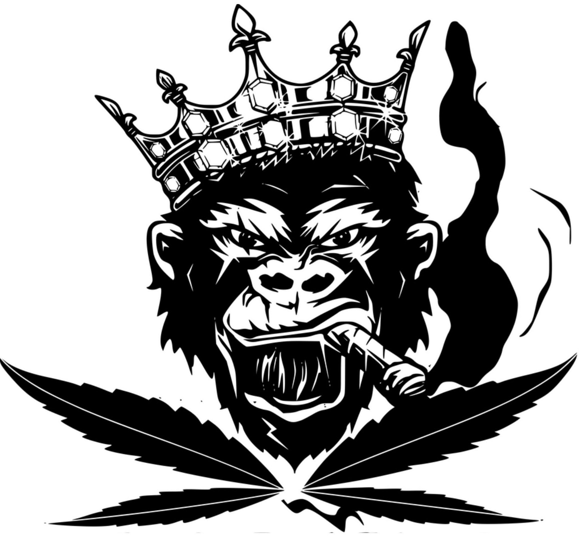 CSC Pirna Logo