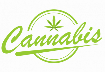 Cannabis Social Club Chemnitz Logo