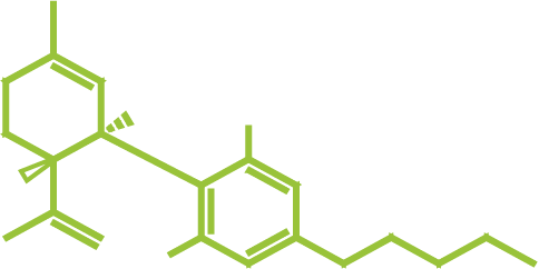 Reefer’s Cannabis Club Siegen e.V. | Home Logo
